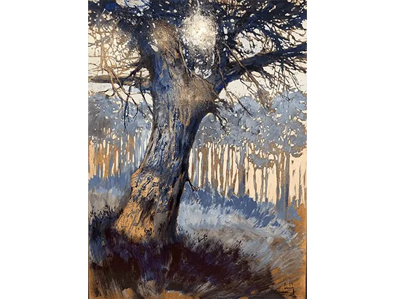 Olivier Suire Verley