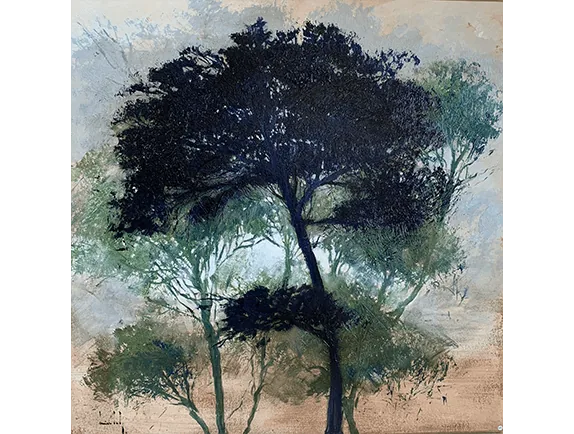 Olivier Suire Verley