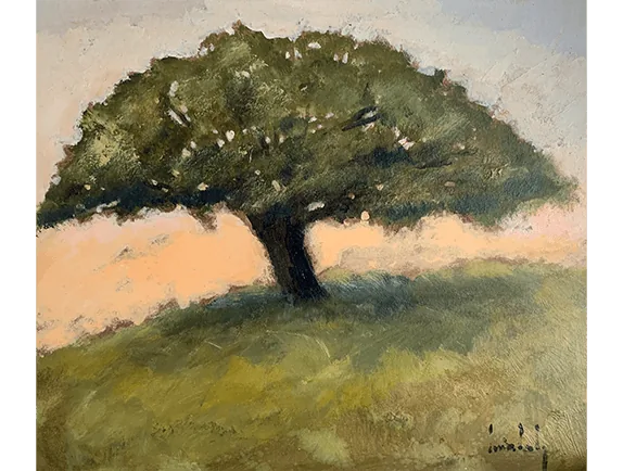 Olivier Suire Verley