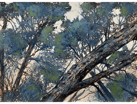 Olivier Suire Verley