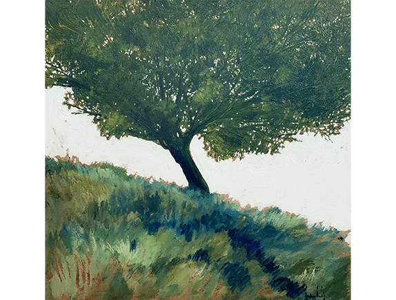 Olivier Suire Verley
